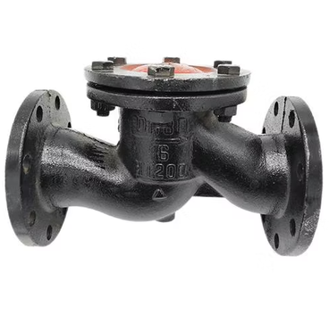 Reliable Flanged Lift Check Valve PN10/16/25
