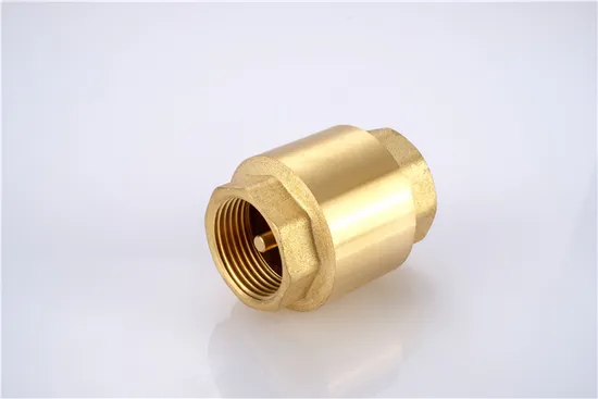 Forged Brass Vertical Lift Check Valve, 1/2 to 4 Inch