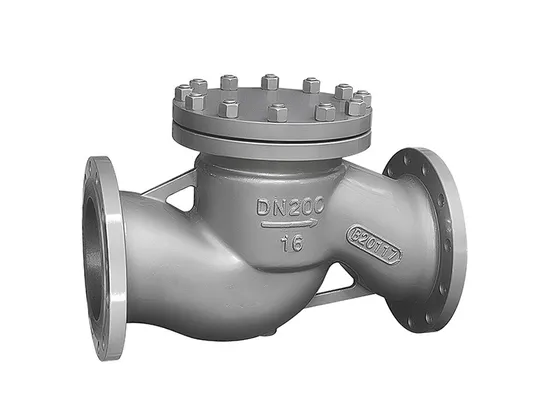 Heavy-Duty Stainless Steel Lift Check Valve for Fluids