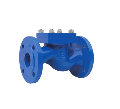 DIN Cast Iron Flanged Lift Check Valve